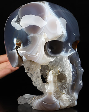 5.7" Premium Brazilian Agate Carved Crystal Skull & Skeletal Hand Sculpture, Realistic