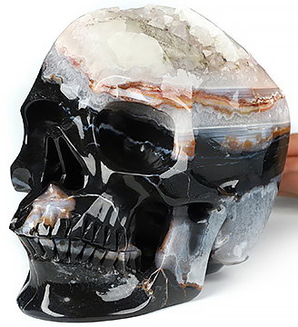 6.5" Black Zebra Agate Carved Crystal Skull,Super Realistic, Crystal Healing