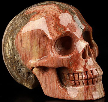 2.0" Petrified Wood Carved Crystal Skull,Realistic, Crystal Healing