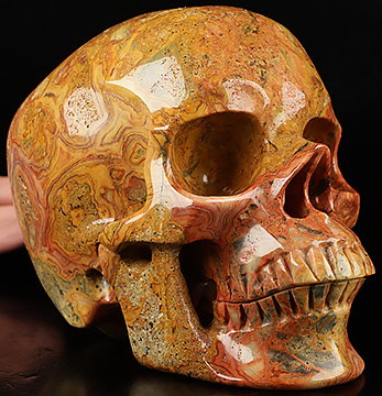 Lifesized 6.9" Crazy Lace Agate Carved Crystal Skull,Super Realistic, Crystal Healing
