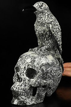 7.7" Crinoid Fossil Hand Carved Crystal Skull and Raven Sculpture, Crystal Healing