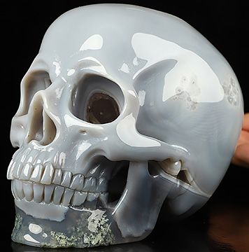 Super Realistic! Lifesized 6.1