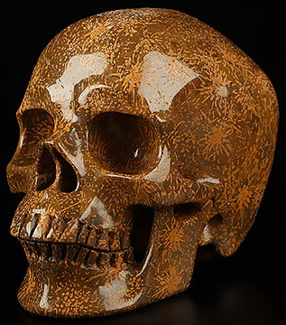 5.1" Gold Star Stone Hand Carved Crystal Skull, Super Realistic, Crystal Healing