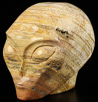 2.0" Petrified Wood Star Being Female Alien Crystal Skull Companion With  Eyes, Hand Carved Gemstone Fine Art Sculpture, Reiki Healing Stone Statue