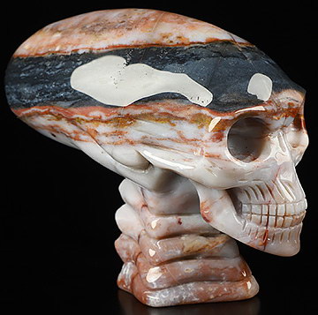 3.8" Black Zebra Agate Hand Carved Crystal Elongated Mayan Alien Skull with Spine Sculpture, Crystal Healing