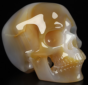 3.5" Premium Brazilian Agate Carved Crystal skull with Led Stand,Super Realistic, Crystal Healing
