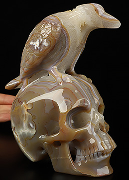 6.5" Premium Brazilian Agate Carved Crystal Skull & Raven Sculpture, Crystal Healing
