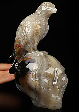 7.1" Premium Brazilian Agate Carved Crystal Alien Skull & Raven Sculpture, Crystal Healing