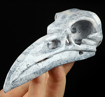 Huge 4.8" Agate Carved Crystal Raven Skull
