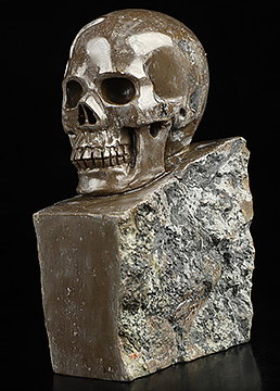 3.7" Ox horn fossil Hand Carved Crystal Skull Fine Art Sculpture, Crystal Healing