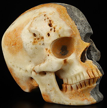 Gemstone 5.1" Bumble Bee Jasper Hand Carved Crystal Skull, Super Realistic, Crystal Healing