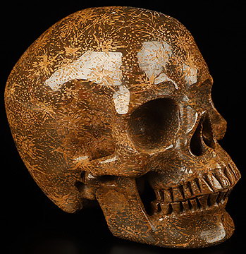 5.1" Gold Star Stone Hand Carved Crystal Skull, Super Realistic, Crystal Healing
