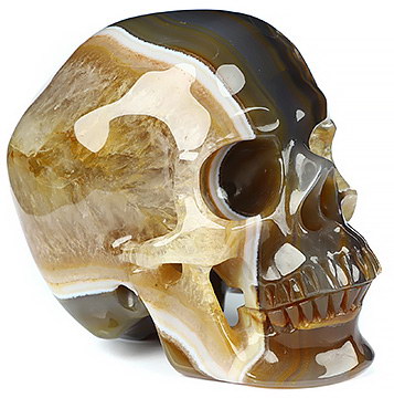 5.1" Premium Brazilian Agate Hand Carved Crystal Skull, Super Realistic, Crystal Healing