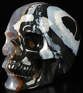 5.1" Black Zebra Agate Hand Carved Crystal Skull, Super Realistic, Crystal Healing