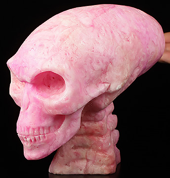6.3" Pink Aragonite Hand Carved Crystal Elongated Mayan Alien Skull with Spine Sculpture, Crystal Healing