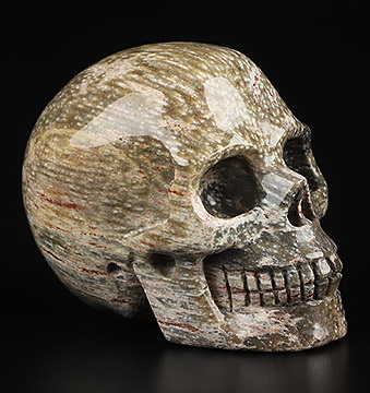 2.0" Petrified Wood Hand Carved Crystal Skull, Realistic, Crystal Healing