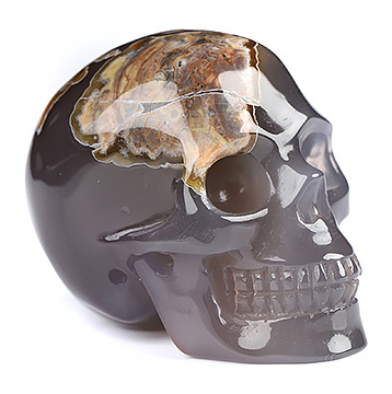 2.0" Dinosaur Egg Agate Hand Carved Crystal Skull, Realistic, Crystal Healing
