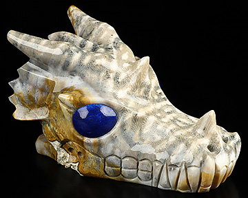 5.1" Coral Fossil Hand Carved Crystal Dragon Skull with Lapis Lazuli Eyes Sculpture, Crystal Healing