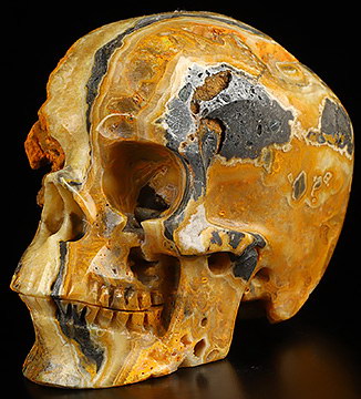 4.1" Bumble Bee Jasper Hand Carved Crystal Skull, Super Realistic, Crystal Healing