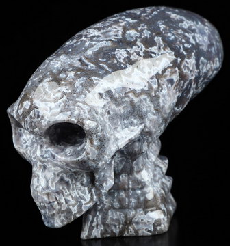 3.7" Green Moss Agate Hand Carved Crystal Elongated Mayan Alien Skull with Spine Sculpture, Crystal Healing