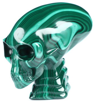 Gemstone 3.7" Malachite Hand Carved Crystal Elongated Mayan Alien Skull with Spine Sculpture, Crystal Healing
