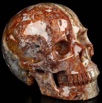 Gemstone 5.0" Red Crazy Lace Agate Hand Carved Crystal Skull, Realistic, Crystal Healing