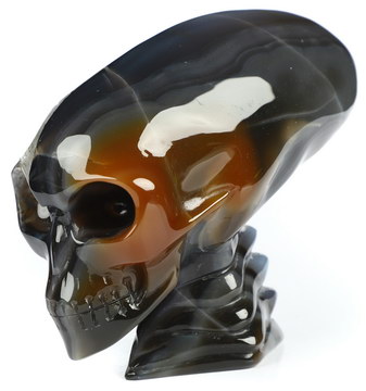 3.7" Banded Agate Hand Carved Crystal Elongated Mayan Alien Skull with Spine Sculpture, Crystal Healing
