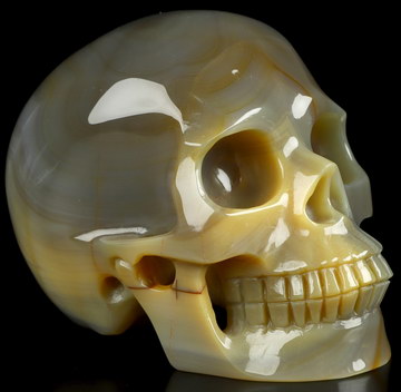 3.9" Premium Brazilian Agate Hand Carved Crystal Skull, Realistic, Crystal Healing