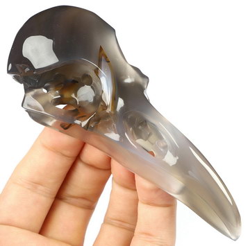 4.7" Premium Brazilian Agate Hand Carved Raven Crystal Skull  Sculpture, Crystal Healing