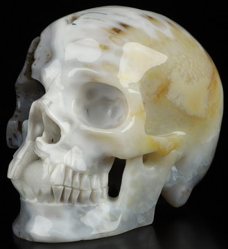 4.7" Sagenitic Agate Hand Carved Crystal Skull, Super Realistic, Crystal Healing