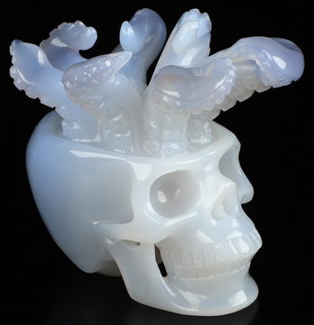 3.9" Blue Chalcedony Hand Carved Crystal Skull and Octopus tentacles Fine Art Sculpture, Crystal Healing