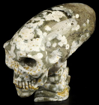 3.6" Ocean Jasper Hand Carved Crystal Elongated Mayan Alien Skull with Spine Sculpture, Crystal Healing