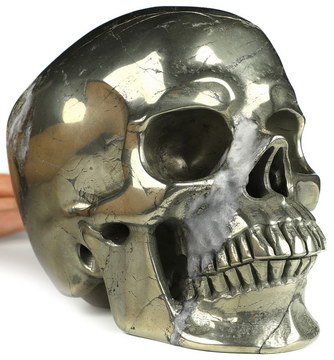 Super Realistic! Lifesized 7.0" Pyrite Hand Carved Crystal Skull, Crystal Healing