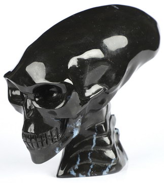 3.5" Black Zebra Agate Hand Carved Crystal Elongated Mayan Alien Skull with Spine Sculpture, Crystal Healing
