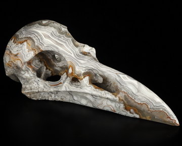 Gemstone 4.6" Red Crazy Lace Agate Hand Carved Raven Crystal Skull  Sculpture, Crystal Healing