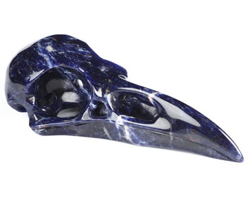 4.7" Sodalite Hand Carved Raven Crystal Skull  Sculpture, Crystal Healing