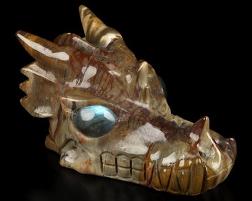 5.2" Petrified Wood Hand Carved Crystal Dragon Skull with Labradorite Eyes Sculpture, Crystal Healing
