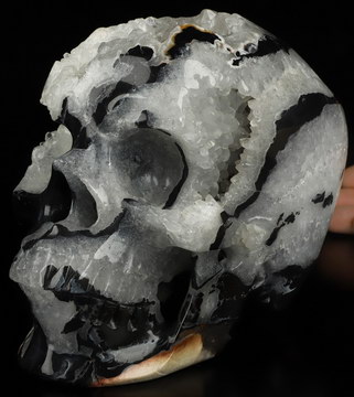Super Realistic! Lifesized 6.9" Black Zebra Agate Hand Carved Crystal Skull, Crystal Healing