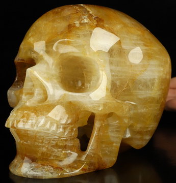 Super Realistic! Lifesized 7.0" Golden healer Hand Carved Crystal Skull, Crystal Healing