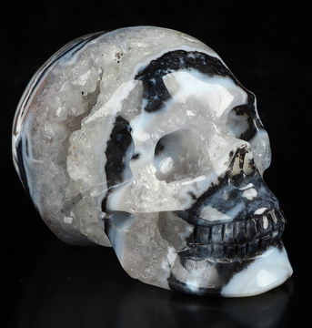 2.0" Black Zebra Agate Hand Carved Crystal Skull, Realistic, Crystal Healing
