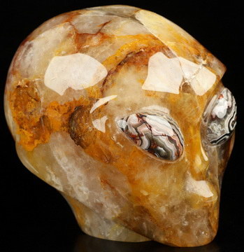 4.1" Golden healer Star Being Female Alien Crystal Skull Companion With Red Crazy Lace Agate Eyes, Hand Carved Gemstone Fine Art Sculpture, Reiki Healing Stone Statue
