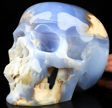 Lifesized 7.3" Blue Chalcedony Hand Carved Crystal Skull, Super Realistic Crystal Healing