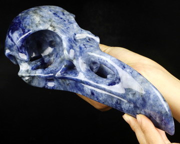 8.7" Sodalite Hand Carved Crystal Skull and Raven Sculpture, Crystal Healing