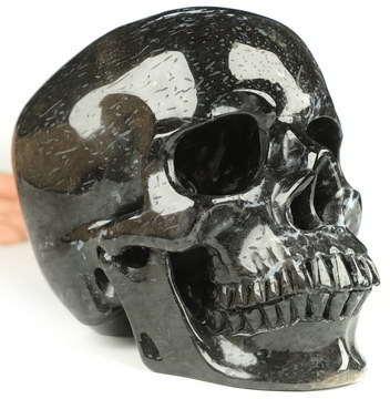 Dec 4, 2014 ACSAD (A Crystal Skull a Day) - The Crystal Skull of Optimism - Bug Fossil Agate Carved Crystal Skull Sculpture