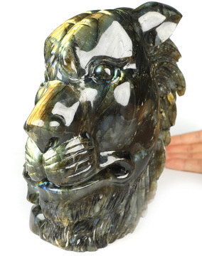 7.2" Labradorite Hand Carved Crystal Tiger and Skull Fine Art Sculpture, Crystal Healing