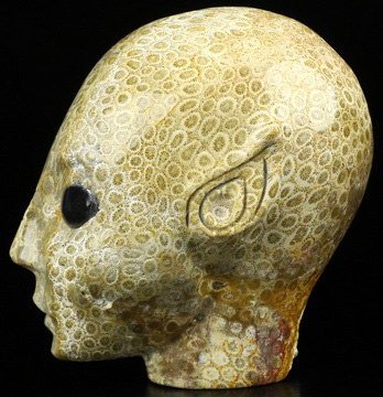 4.1" Coral Fossil Hand Carved Fairy Elf Alien Crystal Skull with Labradorite Eyes Companion Sculpture, Crystal Healing