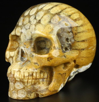3.0" Coral Fossil Hand Carved Crystal Skull, Realistic, Crystal Healing