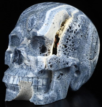 5.0" Blue Ridge Coral Hand Carved Crystal Skull, Realistic, Crystal Healing