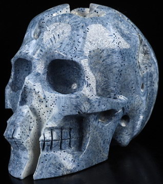 5.0" Blue Ridge Coral Hand Carved Crystal Skull, Realistic, Crystal Healing