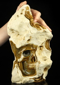 10.1" Petrified Wood Hand Carved Crystal Skull Fine Art Sculpture, Crystal Healing